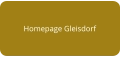 Homepage Gleisdorf